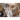 Kalendarz ścienny MISIE 13-planszowe 320mm x 470mm Lucrum (RW11)