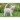 Kalendarz ścienny KOTY I KOTKI 13-planszowe 320mm x 470mm Lucrum (RW9)