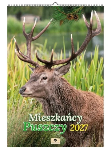 Kalendarz ścienny 2027 Mieszkańcy PUSZCZY 470mm x 320mm Pan Kalendarzyk (A3 VD.11)