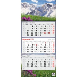 Kalendarz ścienny mix 310mm x 680mm Avanti (5901769620575)