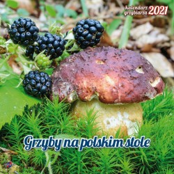 Kalendarz ścienny wieloplanszowy 300mm x 300mm Avanti (5901769621138)
