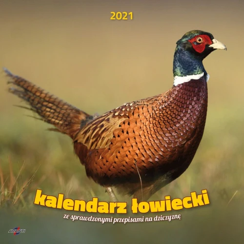 Kalendarz ścienny wieloplanszowy 300mm x 300mm Avanti (5901769620039)