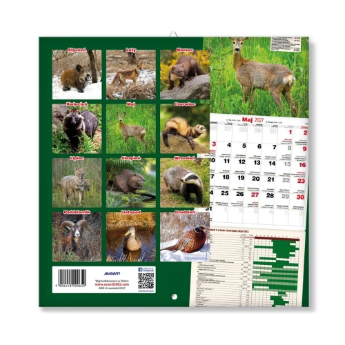 Kalendarz ścienny wieloplanszowy 300mm x 300mm Avanti (5901769620039)