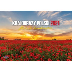 Kalendarz ścienny KRAJOBRAZY POLSKI wieloplanszowy 285mm x 410mm Avanti (KA-7)