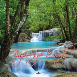 Kalendarz ścienny wieloplanszowy 330mm x 330mm Avanti (5901769620179)