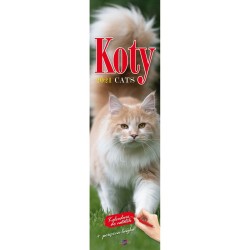 Kalendarz ścienny paskowy Koty 130mm x 460mm Avanti (5901769620391)
