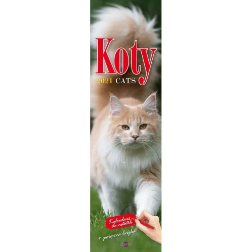 Kalendarz ścienny paskowy Koty 130mm x 460mm Avanti (5901769620391)
