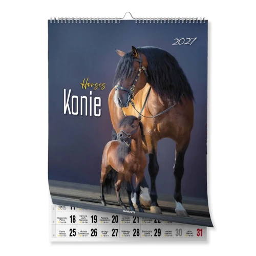 Kalendarz ścienny MAŁY SPIRALA KONIE 230mm x 305mm Avanti (KSMS-5)