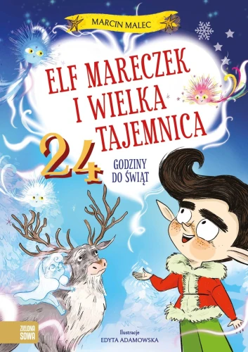Książka dla dzieci 24 godziny do Świąt Zielona Sowa